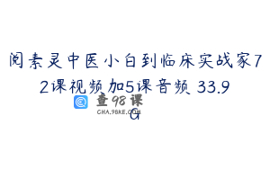 阅素灵中医小白到临床实战家72课视频加5课音频 33.9G