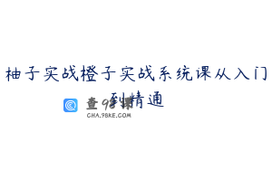 柚子实战橙子实战系统课从入门到精通