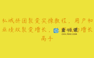 私域拼团裂变实操教程，用户和业绩双裂变增长，让你成为增长高手