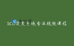 SCO烫发系统专业视频课程