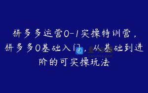 拼多多运营0-1实操特训营，拼多多0基础入门，从基础到进阶的可实操玩法