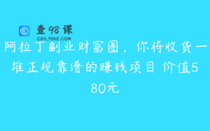 阿拉丁副业财富圈，你将收货一堆正规靠谱的赚钱项目 价值580元