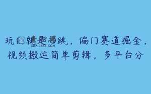 玩的就是心跳，偏门赛道掘金，视频搬运简单剪辑，多平台分