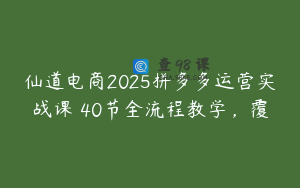 仙道电商2025拼多多运营实战课 40节全流程教学，覆