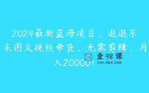 2024最新蓝海项目，逛逛京东图文视频带货，无需剪辑，月入20000+
