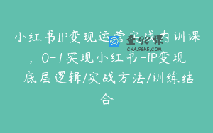 小红书IP变现运营实战内训课，0-1实现小红书-IP变现 底层逻辑/实战方法/训练结合