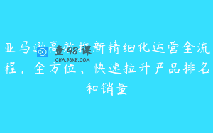 亚马逊高效推新精细化运营全流程，全方位、快速拉升产品排名和销量