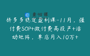 拼多多稳定盈利课-11月，强付费SOP+微付费高投产+活动矩阵，单店月入10万+