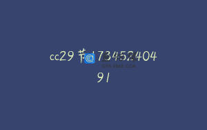 cc29节17345240491
