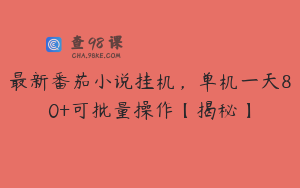 最新番茄小说挂机，单机一天80+可批量操作【揭秘】