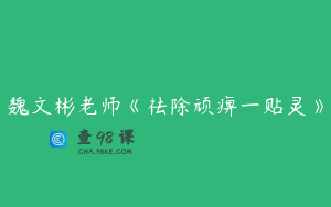 魏文彬老师《祛除顽痹一贴灵》