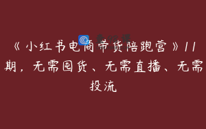 《小红书电商带货陪跑营》11期，无需囤货、无需直播、无需投流