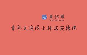 青年文俊线上抖店实操课