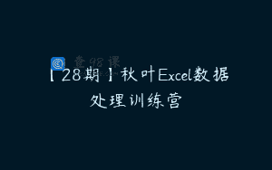 【28期】秋叶Excel数据处理训练营