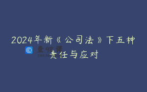 2024年新《公司法》下五种责任与应对
