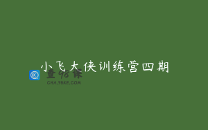 小飞大侠训练营四期
