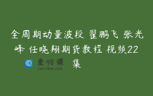 全周期动量波段 翟鹏飞 张光峰 任晓翔期货教程 视频22集