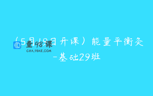 (5月19日开课)能量平衡灸-基础29班