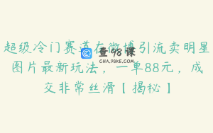 超级冷门赛道在微博引流卖明星图片最新玩法，一单88元，成交非常丝滑【揭秘】