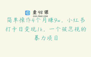 简单操作4个月赚9w，小红书打卡日变现1k，一个被忽视的暴力项目