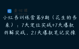 小红书训练营第9期（花生的书桌）：7天定位实战+7天爆款拆解实战，21天爆款笔记实操