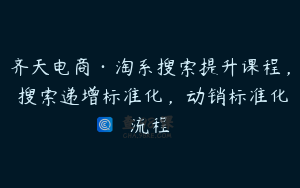 齐天电商·淘系搜索提升课程，​搜索递增标准化，动销标准化流程