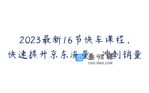 2023最新16节快车课程，快速提升京东流量，冲刺销量