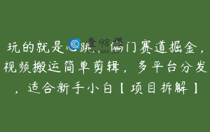 玩的就是心跳，偏门赛道掘金，视频搬运简单剪辑，多平台分发，适合新手小白【项目拆解】