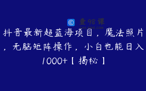 抖音最新超蓝海项目，魔法照片，无脑矩阵操作，小白也能日入1000+【揭秘】