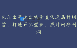 优乐出海独立站垂直化选品特训营，打造产品壁垒，提升网站利润