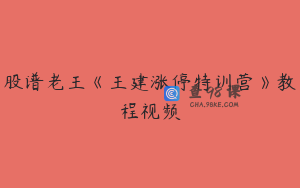 股谱老王《王建涨停特训营》教程视频