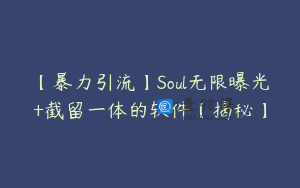 【暴力引流】Soul无限曝光+截留一体的软件【揭秘】