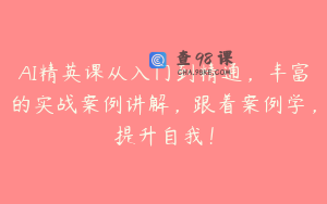 AI精英课从入门到精通，丰富的实战案例讲解，跟着案例学，提升自我！