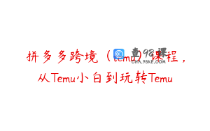 拼多多跨境（temu）课程，从Temu小白到玩转Temu