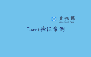 Fluent验证案例