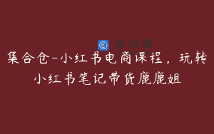 集合仓-小红书电商课程，玩转小红书笔记带货鹿鹿姐
