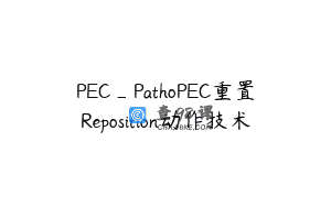 PEC_PathoPEC重置Reposition动作技术