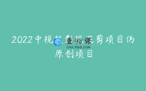 2022中视频影视混剪项目伪原创项目
