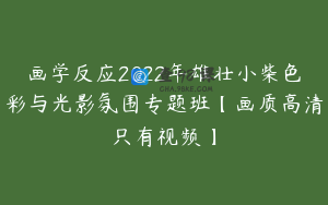 画学反应2022年雄壮小柴色彩与光影氛围专题班【画质高清只有视频】