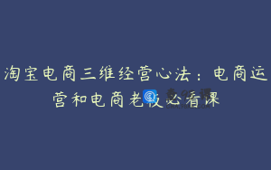 淘宝电商三维经营心法:电商运营和电商老板必看课