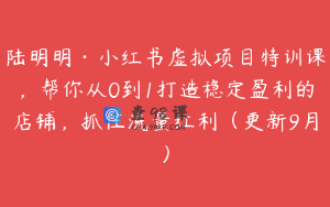 陆明明·小红书虚拟项目特训课，帮你从0到1打造稳定盈利的店铺，抓住流量红利（更新9月）