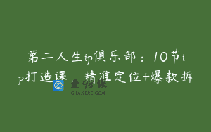 第二人生ip俱乐部：10节ip打造课，精准定位+爆款拆