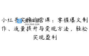 小红书实操运营课：掌握爆文制作、流量提升与变现方法，轻松实现盈利