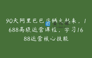 90天阿里巴巴店铺火起来，1688高级运营课程，学习1688运营核心技能