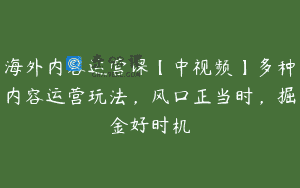 海外内容运营课【中视频】多种内容运营玩法，风口正当时，掘金好时机