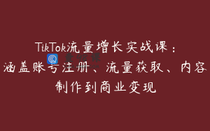 TikTok流量增长实战课：涵盖账号注册、流量获取、内容制作到商业变现