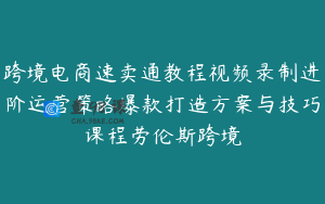 跨境电商速卖通教程视频录制进阶运营策略爆款打造方案与技巧课程劳伦斯跨境