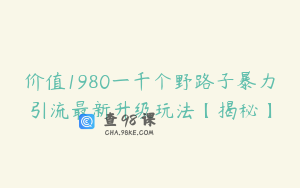 价值1980一千个野路子暴力引流最新升级玩法【揭秘】