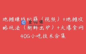 地摊赚钱秘籍（视频）+地摊攻略玩法（新鲜出炉）+火爆全网40G小吃技术合集