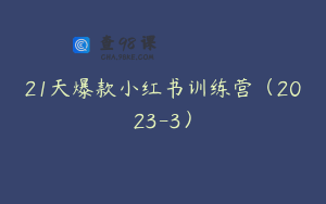 21天爆款小红书训练营（2023-3）